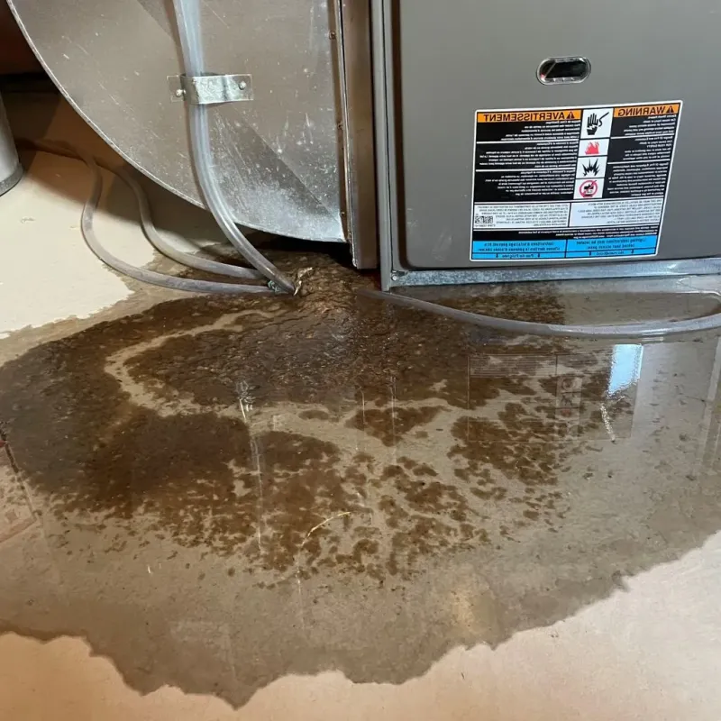 Pipe Burst and Leak Restoration in Mount Vernon, IN
